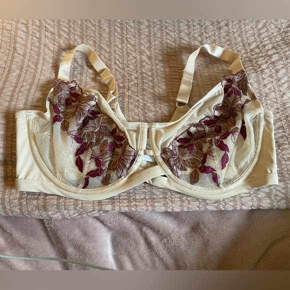 NWoT 40DDD nude and deep red lace trimmed bra - Picture 1 of 2